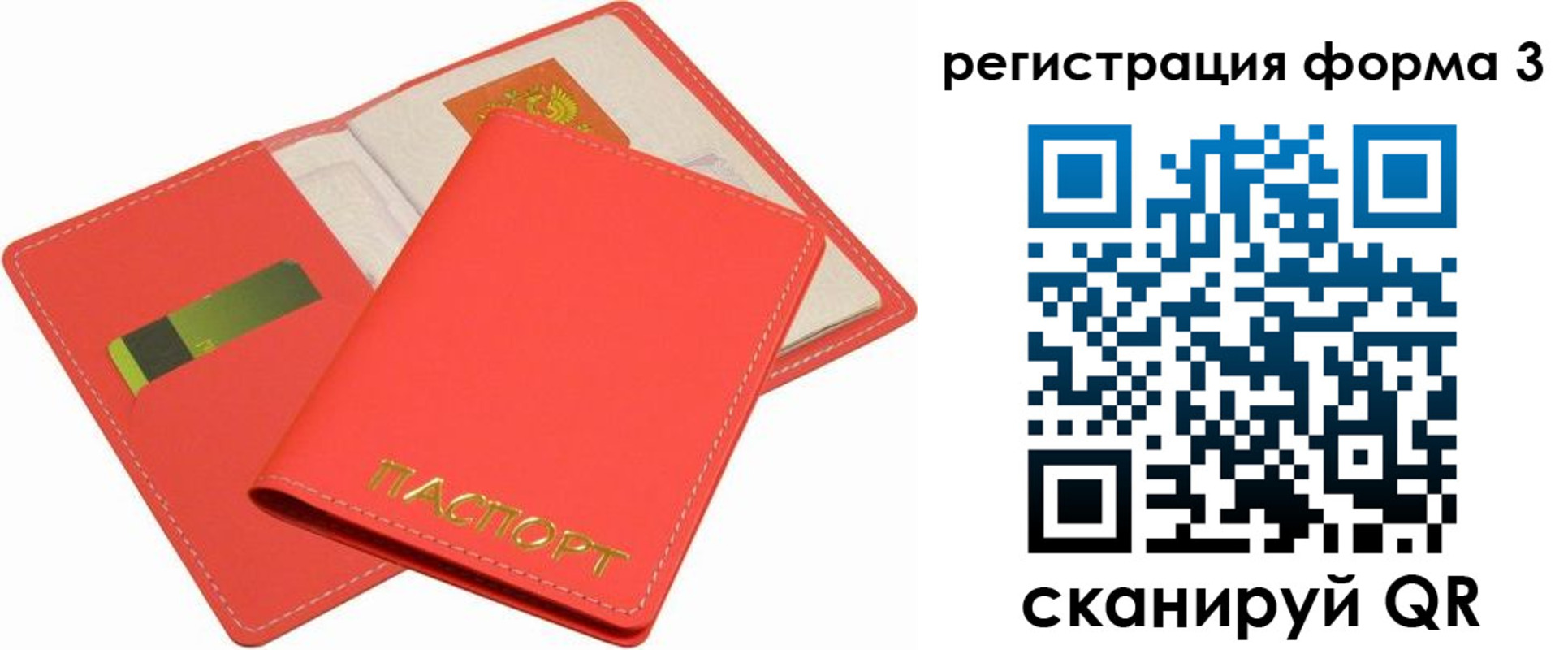 прописка для школы в Струнино